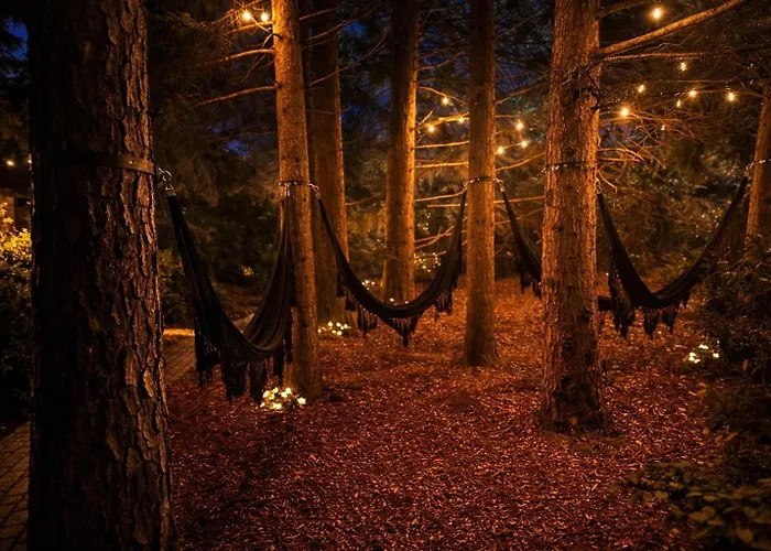 Wellness Tuin - Boudoir - Ultieme Partner Beleving - Indoor Jacuzzi En Openhaard En Prive Sauna - In Romantische Stijl - Gratis Fles Prosecco & Leuke Partner Connect Box ! Jaktstuga Horst