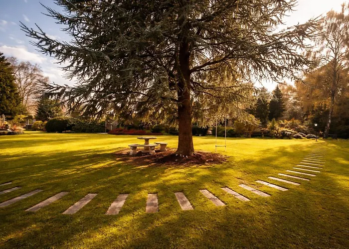 Jaktstuga Wellness Tuin - Boudoir - Ultieme Partner Beleving - Indoor Jacuzzi En Openhaard En Prive Sauna - In Romantische Stijl - Gratis Fles Prosecco & Leuke Partner Connect Box ! Horst